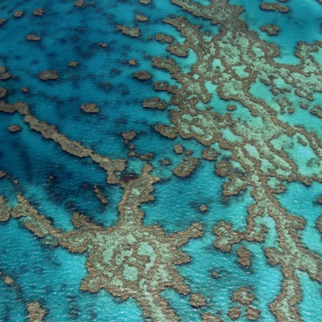 barrière de corail australie ciel photographie yann arthus bertrand home