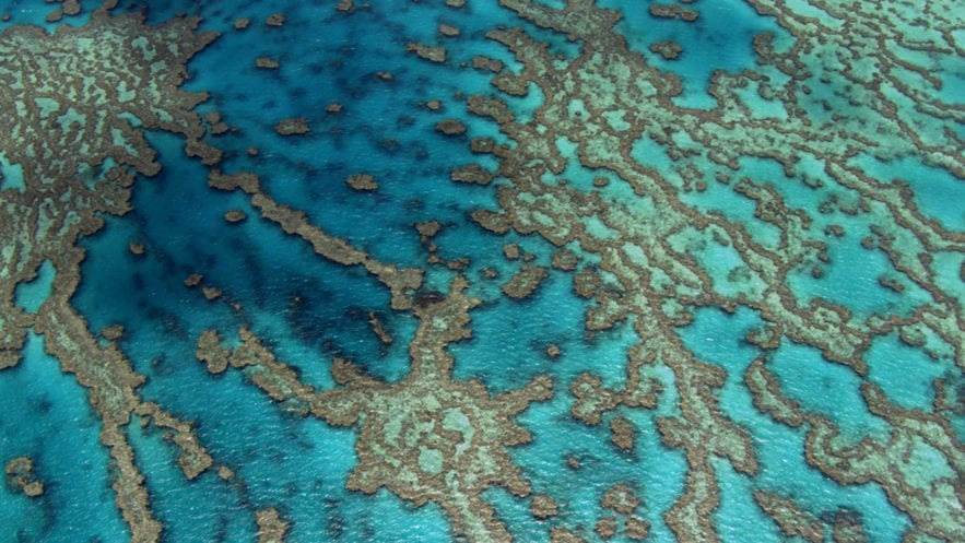 barrière de corail australie ciel photographie yann arthus bertrand home