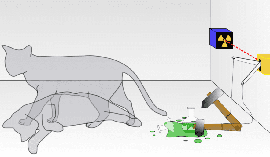 chat schrödinger expérience paradoxe erwin boîte deux boîtes chen wang yale university