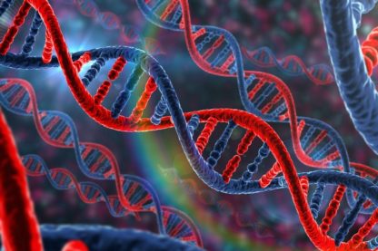 adn gènes modification embryons humains