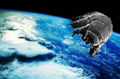 tardigrade organise survie dans l'espace espace