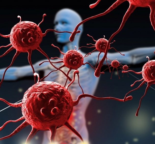 molecules recherche medecine proteines système immunitaire