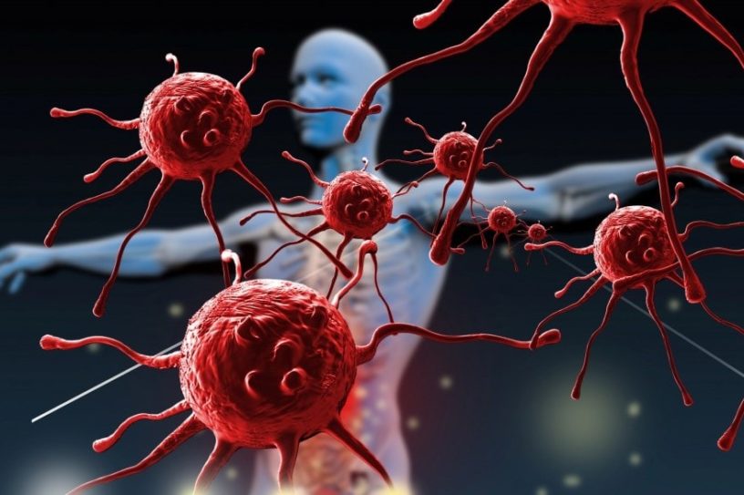 molecules recherche medecine proteines système immunitaire