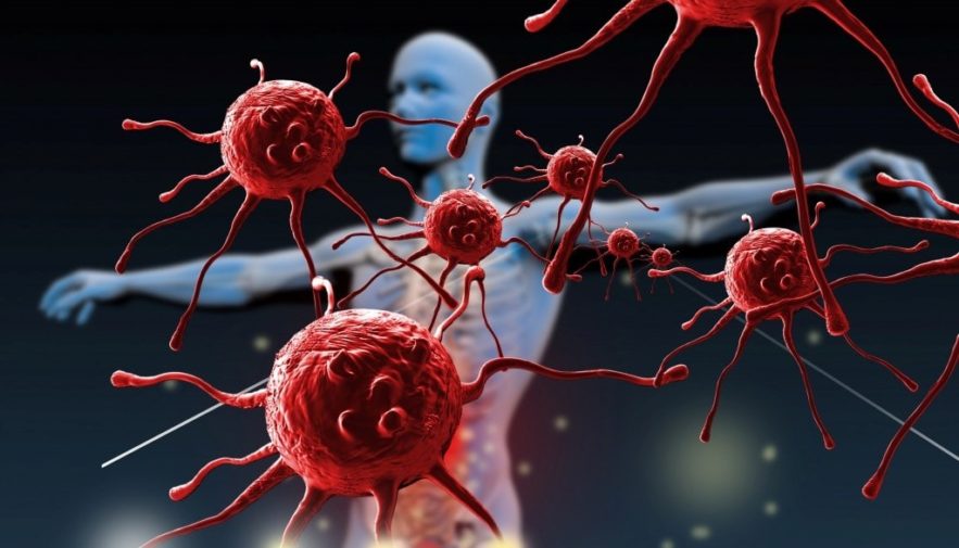 molecules recherche medecine proteines système immunitaire