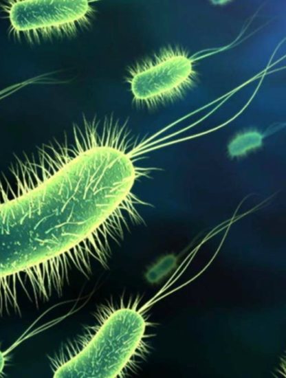 bactéries antibiotiques antimicrobiens microbes résistance