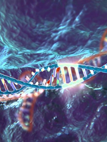 modification genetique crispr cas 9 cancer