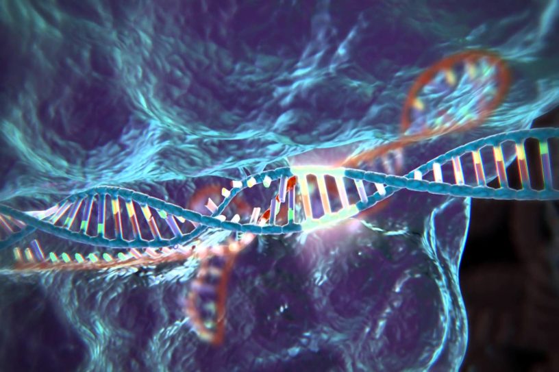 modification genetique crispr cas 9 cancer