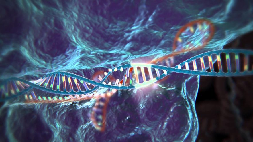 modification genetique crispr cas 9 cancer
