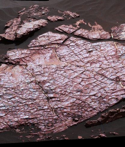 dessication fissures roche boue mars surface curiosity nasa
