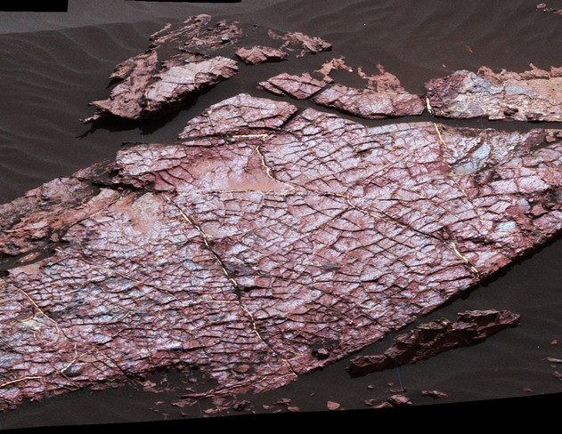dessication fissures roche boue mars surface curiosity nasa