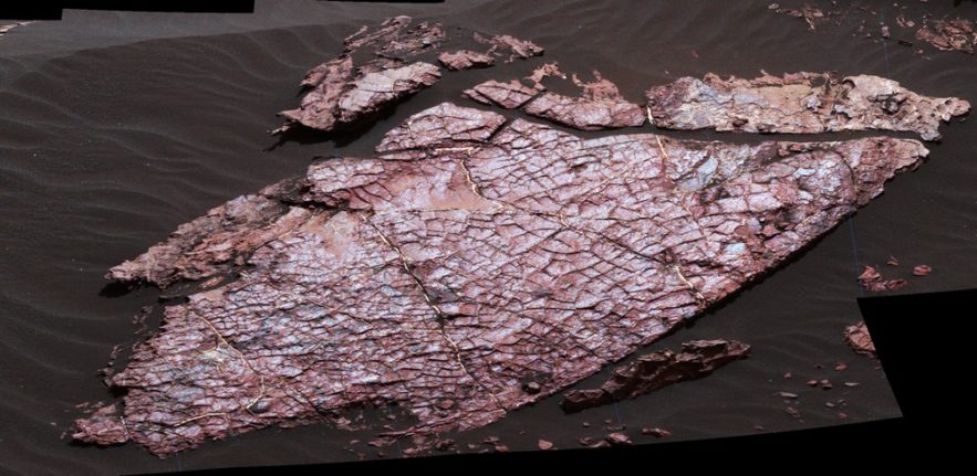 dessication fissures roche boue mars surface curiosity nasa