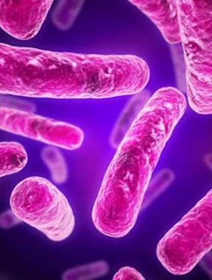 superbactéries résistance antibiotiques