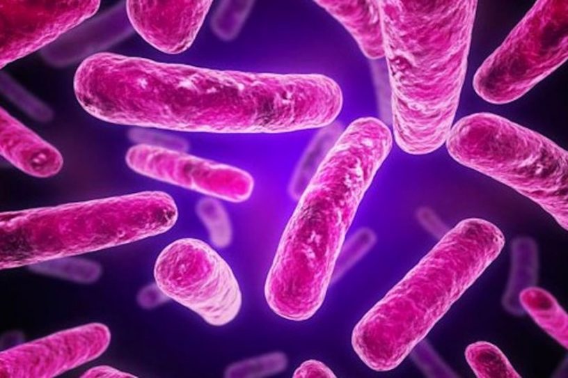 superbactéries résistance antibiotiques