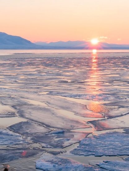 arctique calotte glacière glace geler