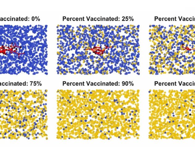 vaccination vaccin immunité gréfaire de communauté