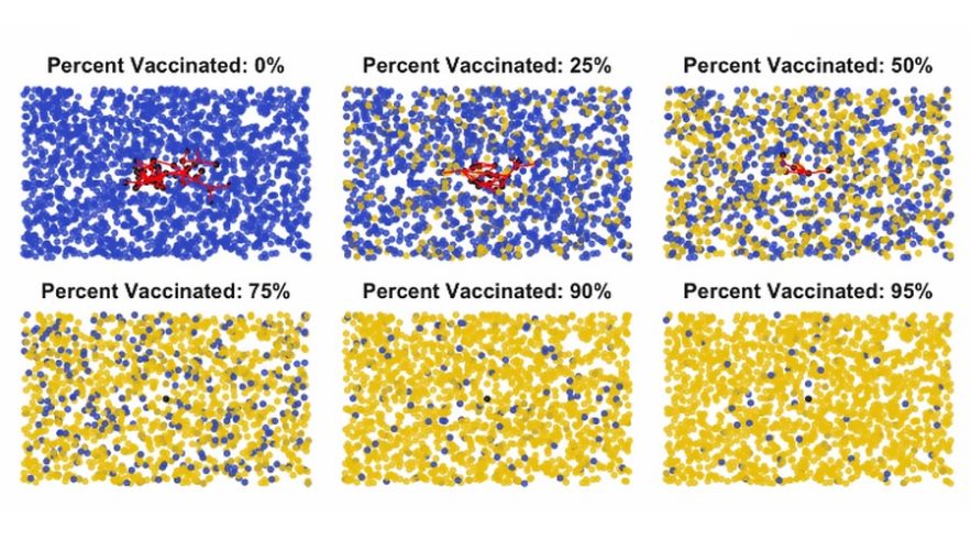 vaccination vaccin immunité gréfaire de communauté