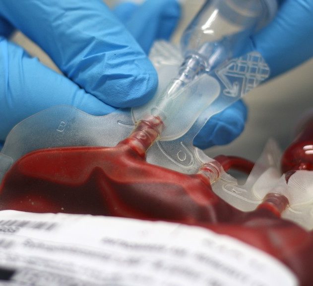 sac de sang artificiel don médecine cellules souches globules rouges