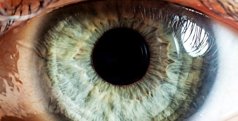 oeil bionique rétine endomagée implant