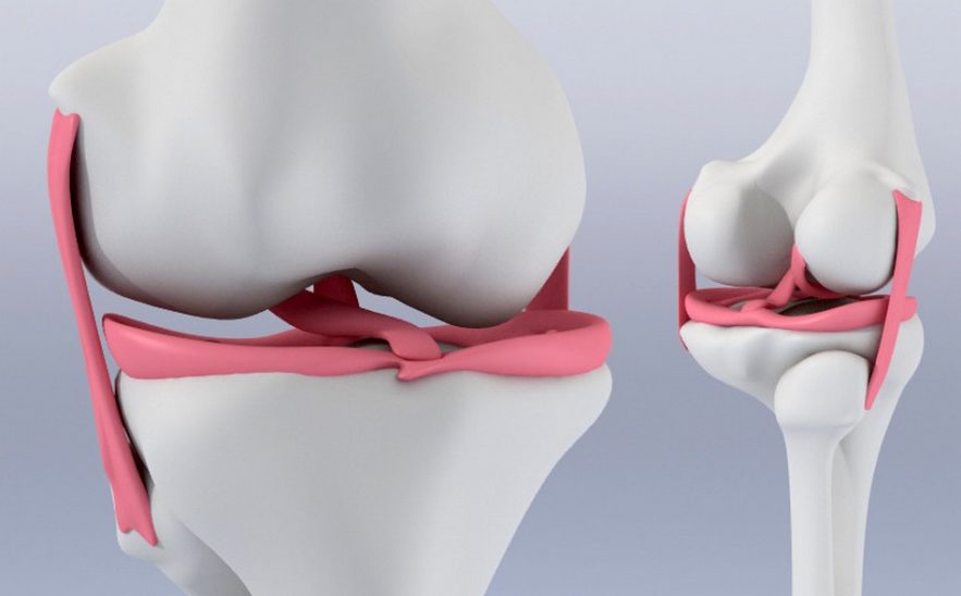 genou menisque cartilage hydrogel