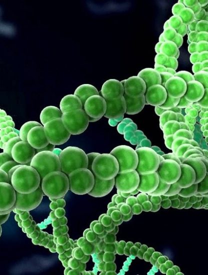 cancer edition gene technologie