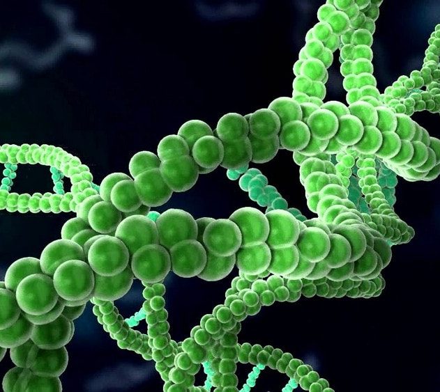 cancer edition gene technologie