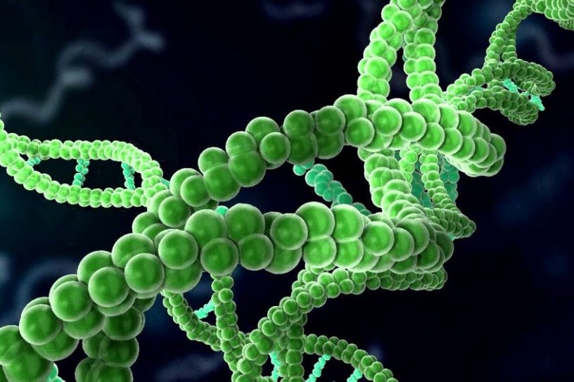 cancer edition gene technologie