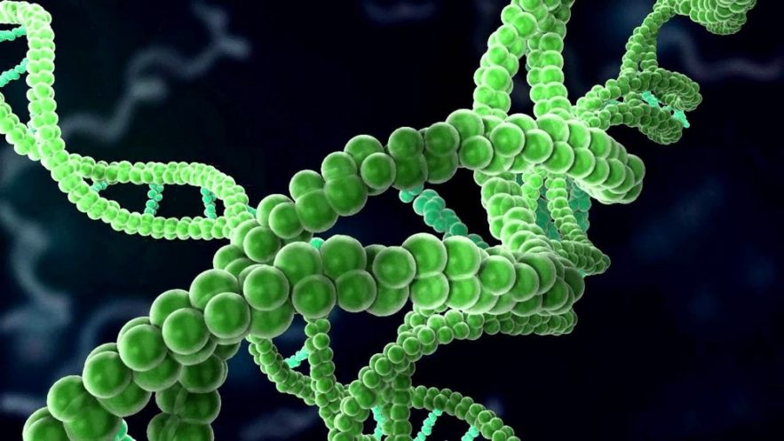 cancer edition gene technologie
