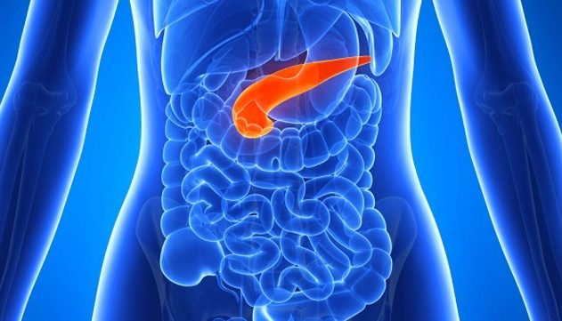 pancreas artificiel diabete soigner insuline cellules ilots