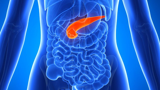 pancreas artificiel diabete soigner insuline cellules ilots