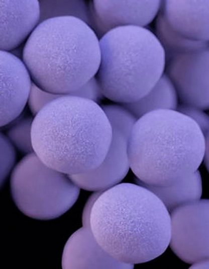 antibiotiques résistance bactéries super-antibiotiques