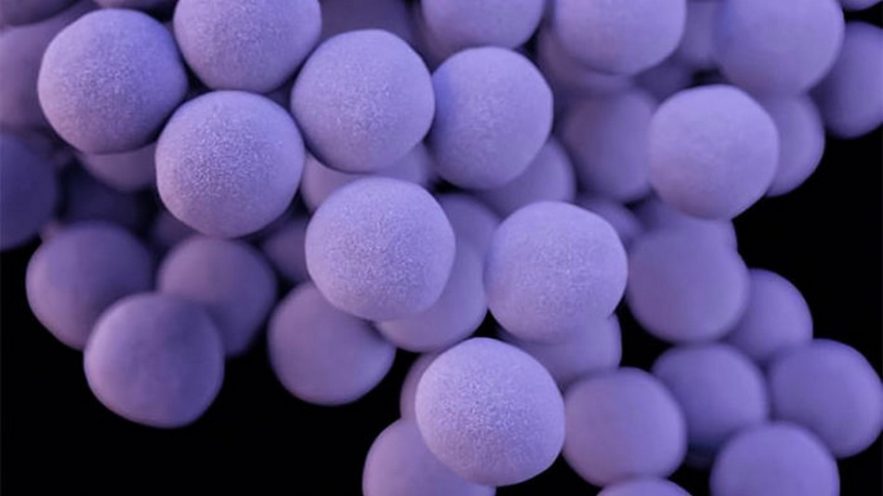 antibiotiques résistance bactéries super-antibiotiques