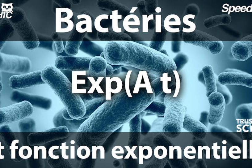bacteries fonction exponentielle speed bbt