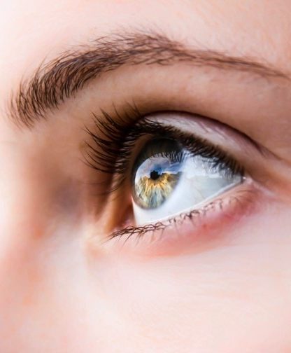 yeux tetrachromatisme daltonien vision