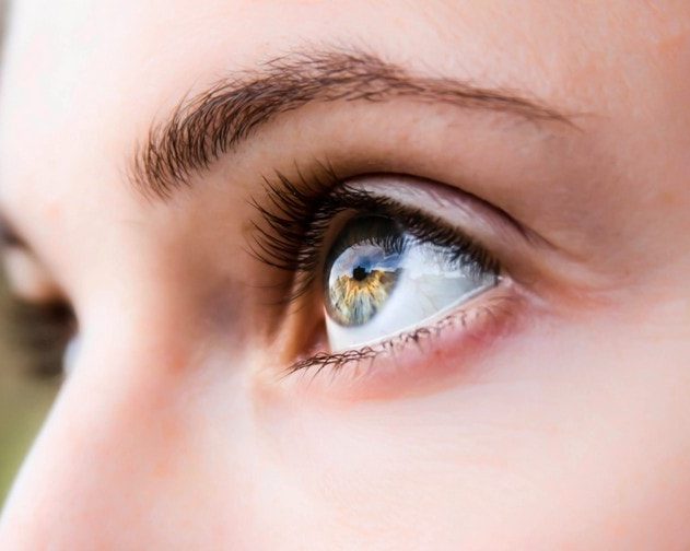 yeux tetrachromatisme daltonien vision