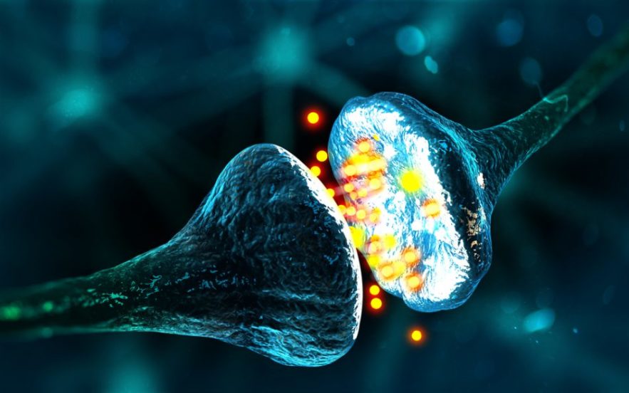 réseau neuronal neurone synapse connexion tube nanotube carbone