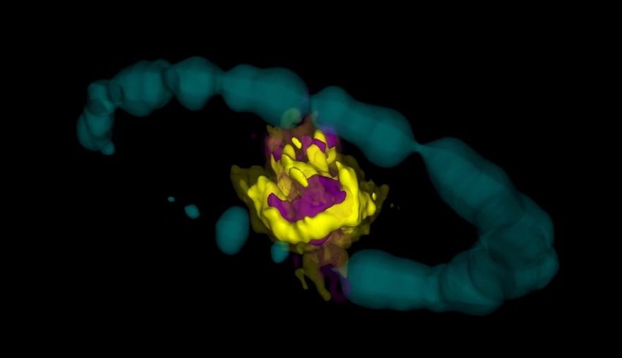 supernova 1987 nuage magellan rémanent 3d cartographie alma nasa