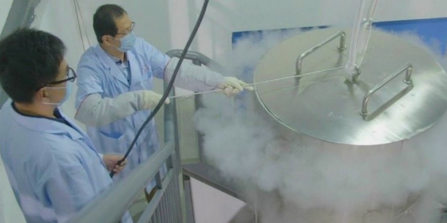 cryogenisation cryogenie femme