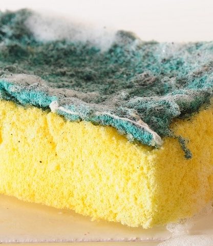 eponge sale cuisine vaisselle évier bactérie microbes