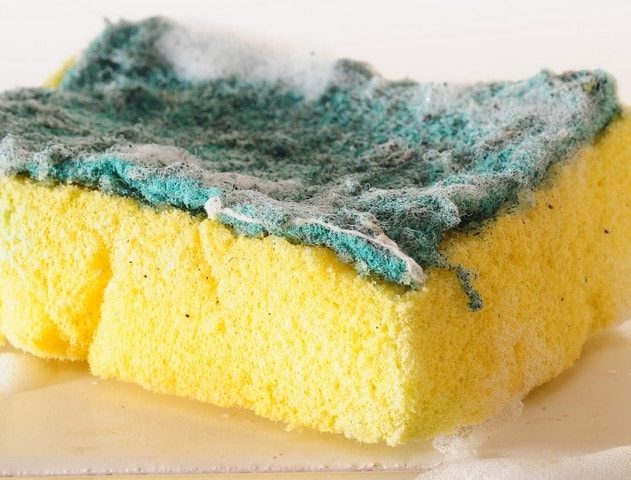 eponge sale cuisine vaisselle évier bactérie microbes