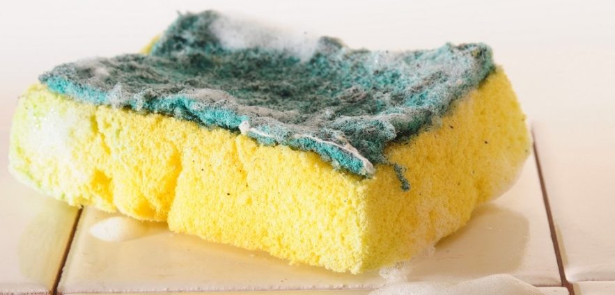 eponge sale cuisine vaisselle évier bactérie microbes