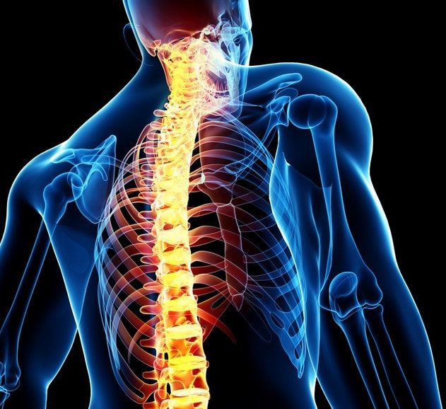 moelle epiniere medecine neurones