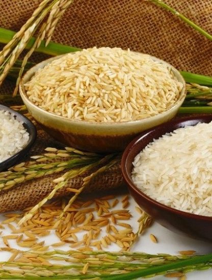 riz technique de cuisson féculents amidon calories