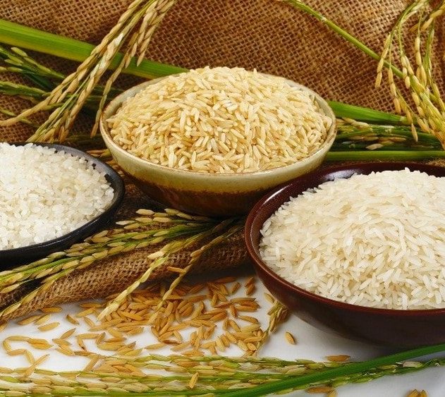 riz technique de cuisson féculents amidon calories