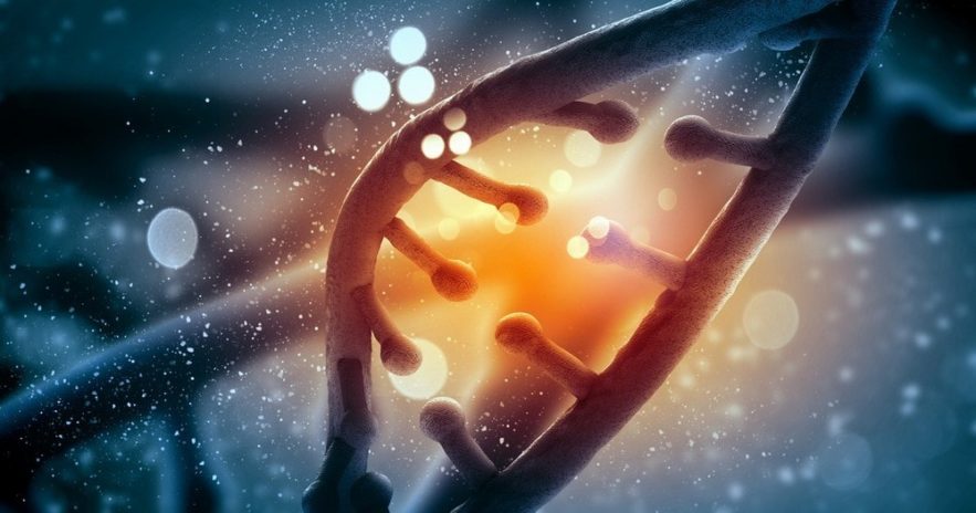 arn adn édition gènes crisp cas9 maladies technique