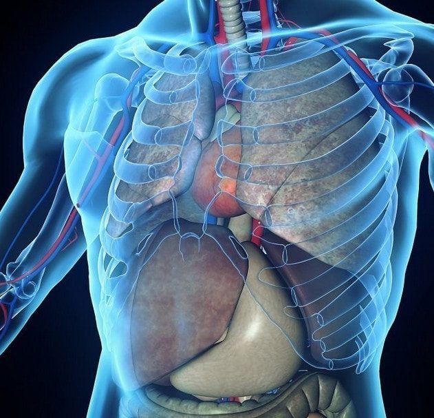 voir à travers le corps humain tissus corporels caméra technologie