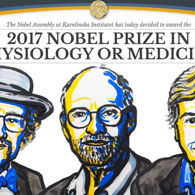 prix nobel medecine 2017 americain horloge biologique