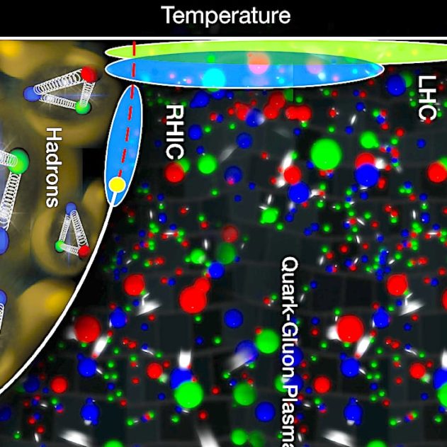 noeuds gluons