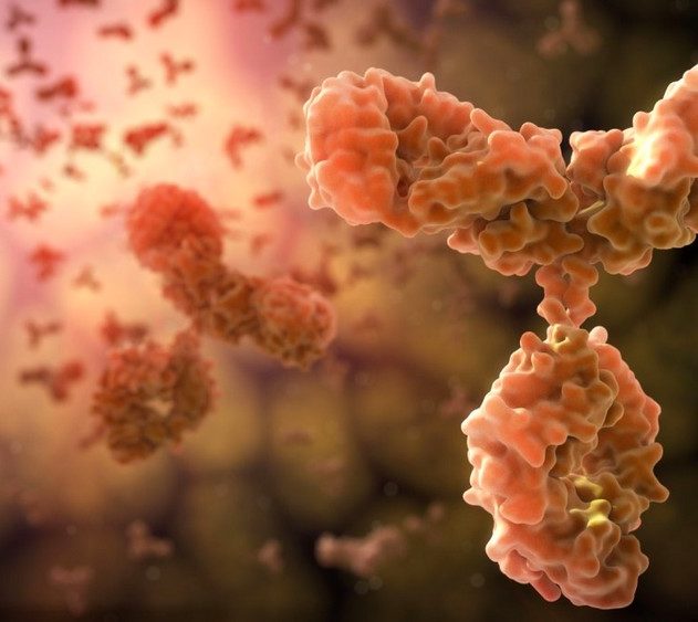allergenes-anticorps-systeme-immunitaire-allergies