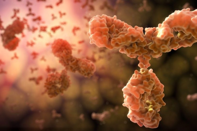 allergenes-anticorps-systeme-immunitaire-allergies