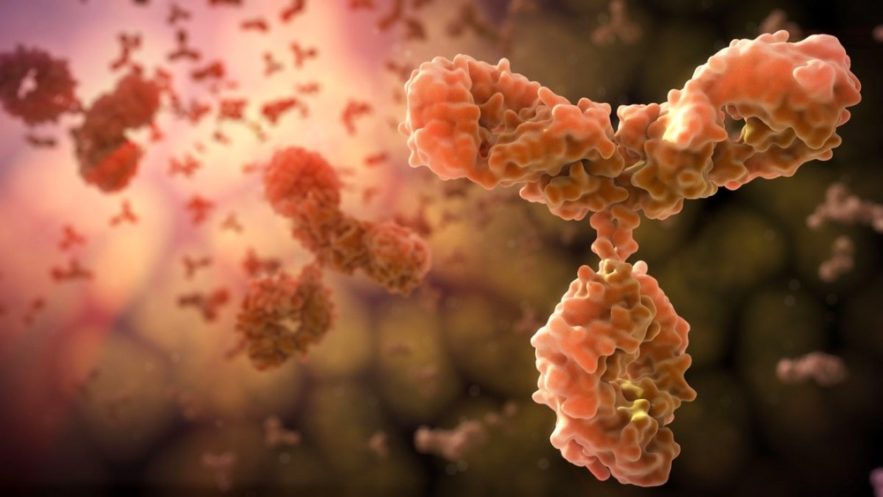 allergenes-anticorps-systeme-immunitaire-allergies